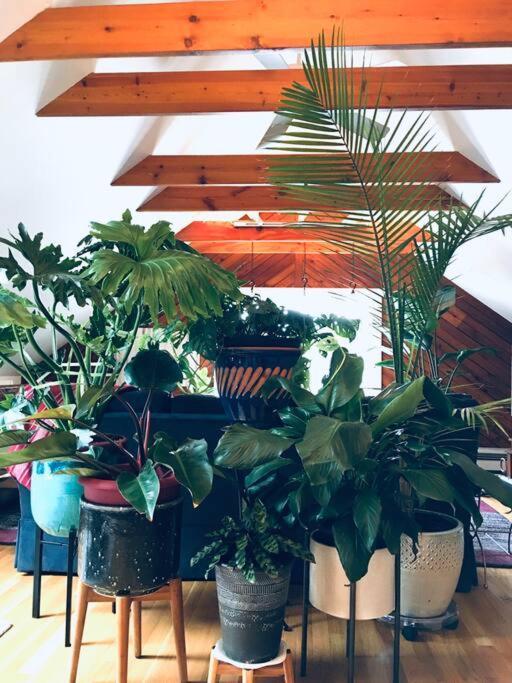 Urban Oasis In Hope Village プロビデンス エクステリア 写真