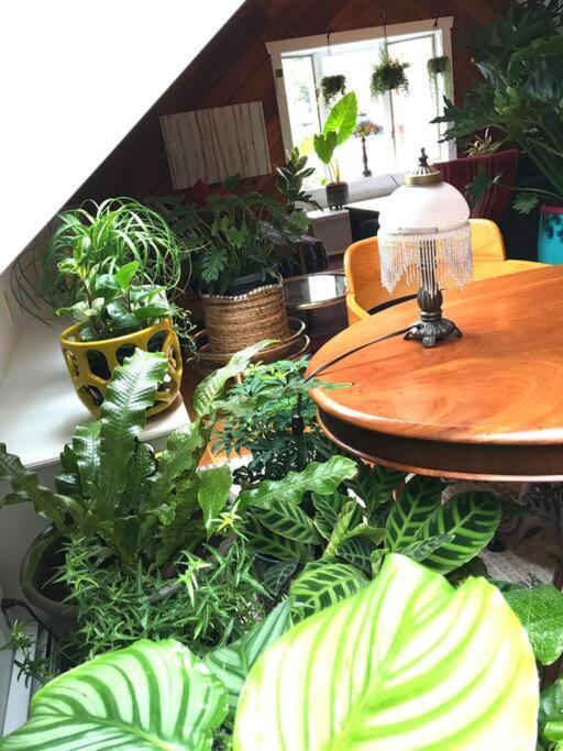 Urban Oasis In Hope Village プロビデンス エクステリア 写真